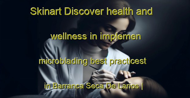 Skinart Discover health and wellness in implemen microblading best practicest in Barranca Seca De Larios | MicrobladingTraining | MicrobladingClasses | SkinartTraining-Mexico